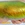 chameleon pigment