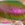 chameleon chrome nail pigment