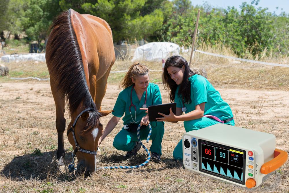 vs2000v veterinary vital signs monitor