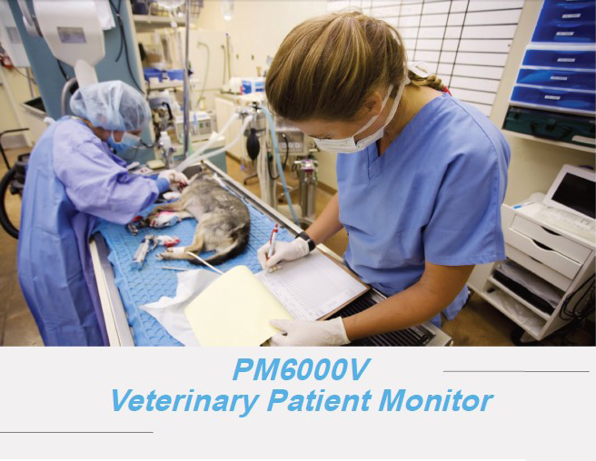 PM6000V veterinary patient monitor