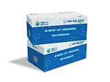 HP(Helicobacter Pylori) Typing Test Kit
