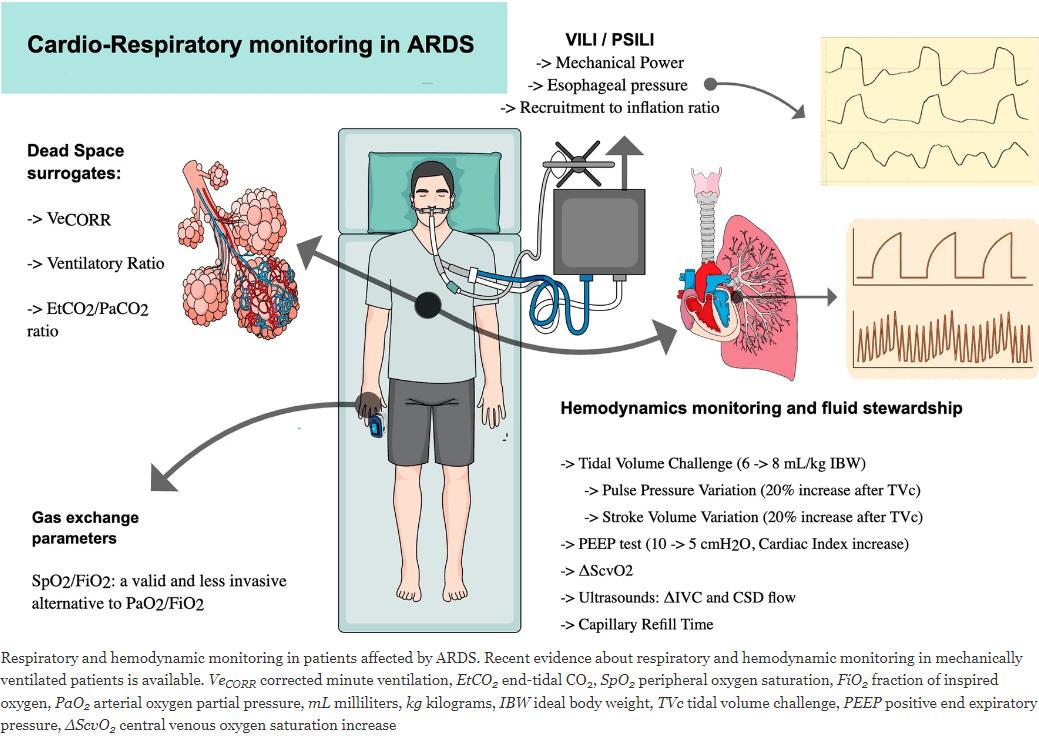 Patient Monitor