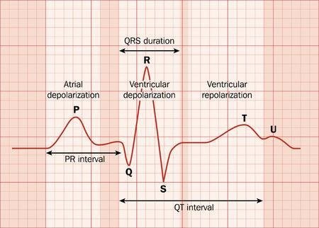 Pulse oximeter