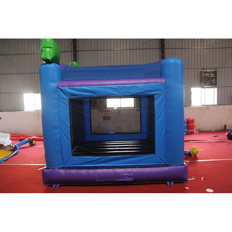 Fantastic carnival inflatable moonwalks,Inflatable bouncy castle,themed party jumping for sale