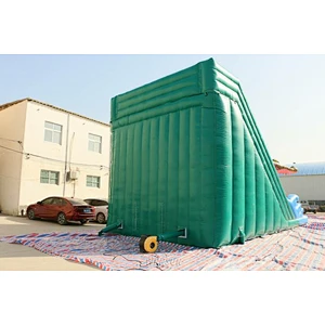 Inflatable King Crocodile Dual Slide