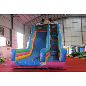 Mickey Inflatable Slide