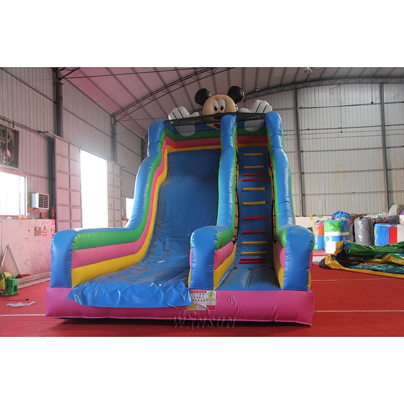 Mickey Inflatable Slide