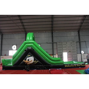 Inflatable Water Slide with Pool