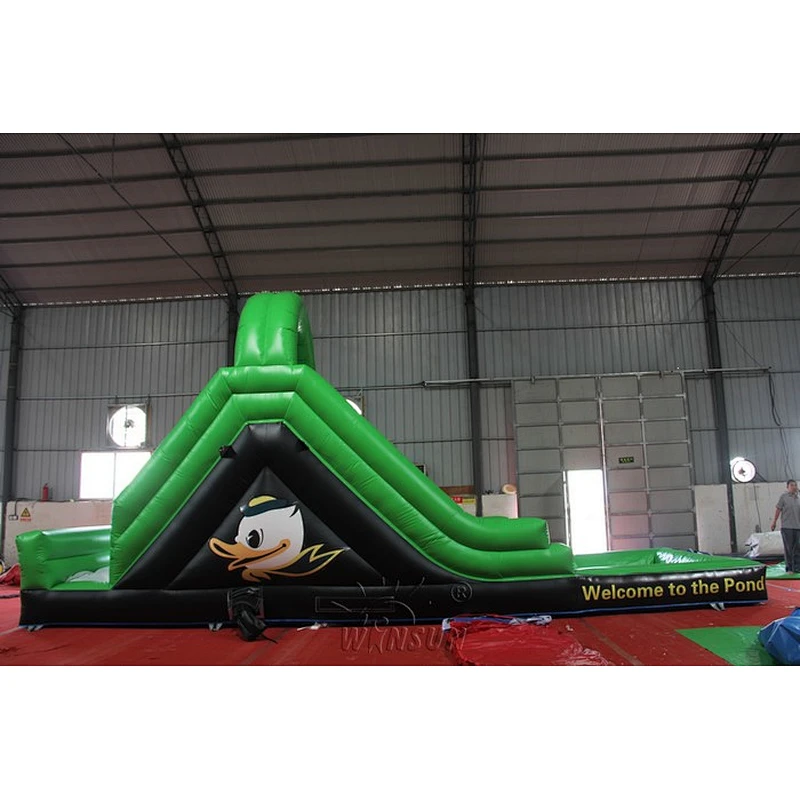 Inflatable Water Slide with Pool