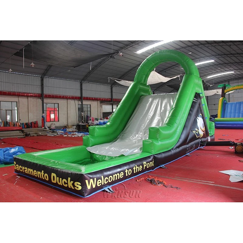 Inflatable Water Slide with Pool