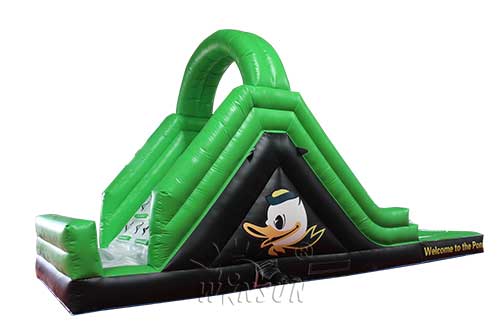 Inflatable Water Slide with Pool