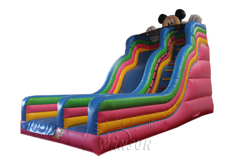 Mickey Inflatable Slide