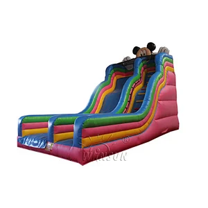Mickey Inflatable Slide