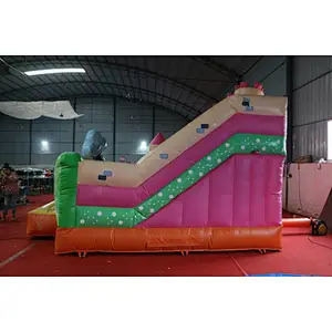 Cute inflatable  pink princess jumping house for sale, backyard open jumping moonwalks for sale