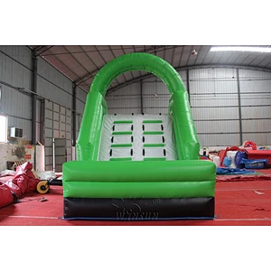Inflatable Water Slide with Pool