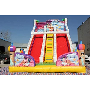 Aladdin Inflatable Slide