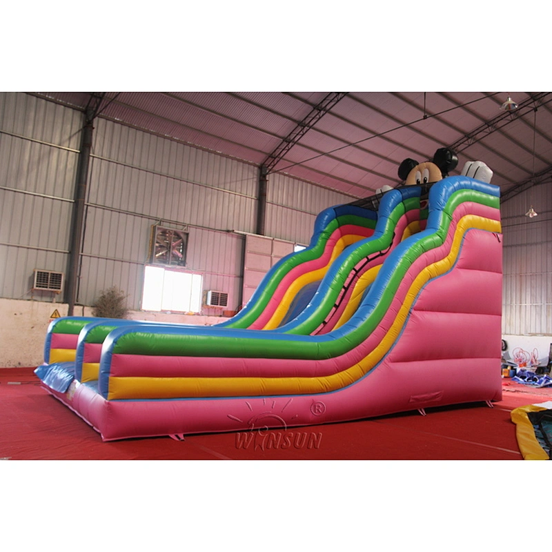 Mickey Inflatable Slide