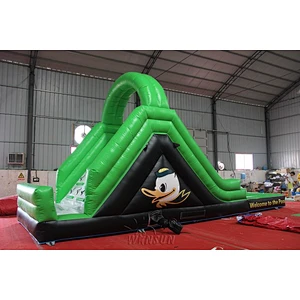 Inflatable Water Slide with Pool