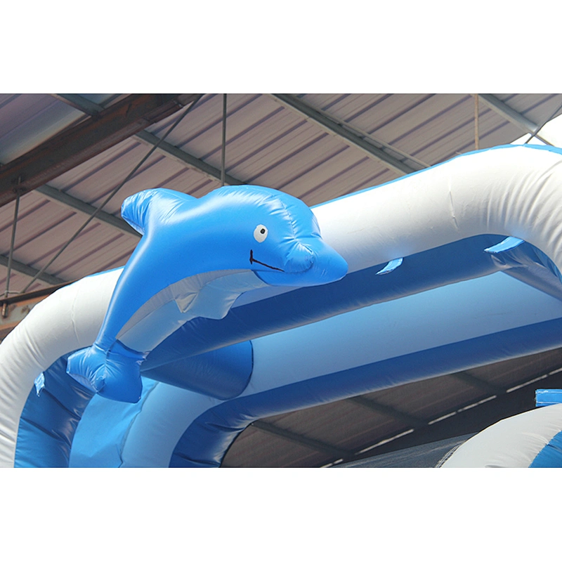 Dolphin Inflatable Water Slide