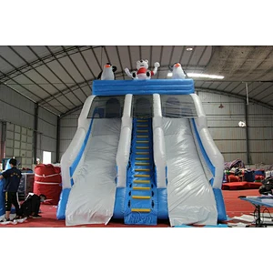 Ice Bear Water Slide