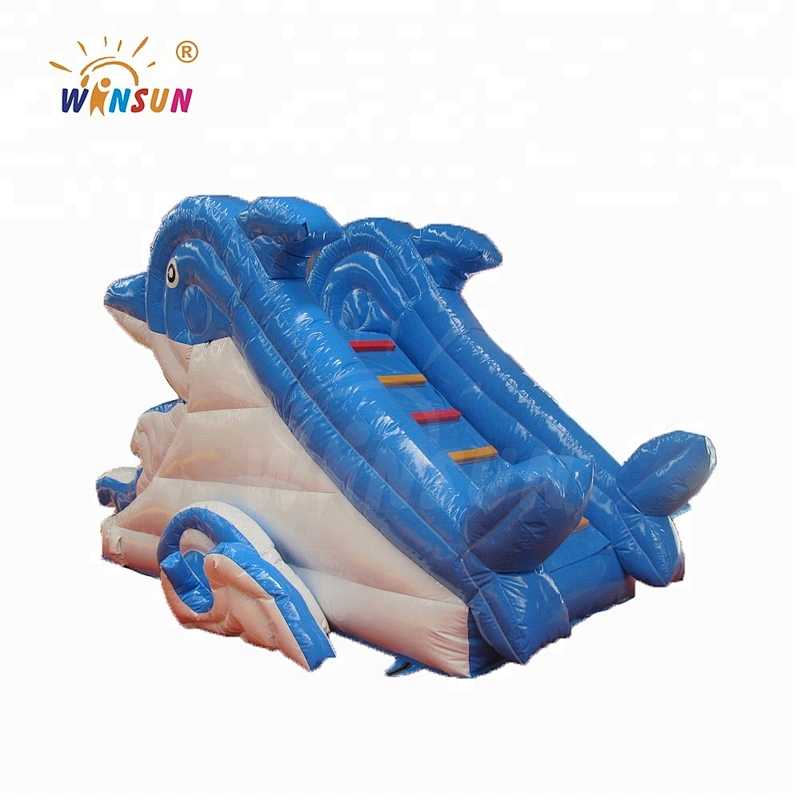Inflatable water slide