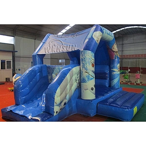 Inflatable Combo