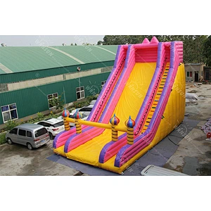 Giant Inflatable Slide for Children