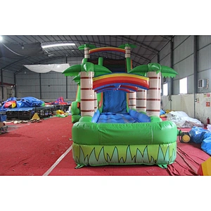 Giant inflatable water slide