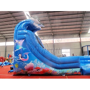 Dolphin Inflatable water slide