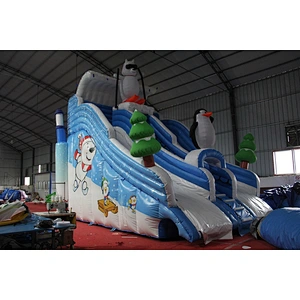 Ice world inflatable water slide