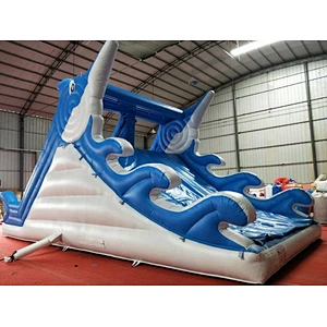 Inflatable Dolphin Water Slide