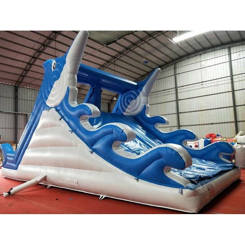 Inflatable Dolphin Water Slide