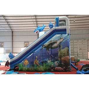 Ocean shark themed water slide