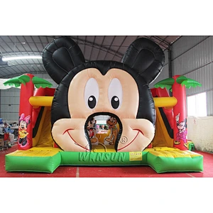 Small Inflatable Mouse Slide