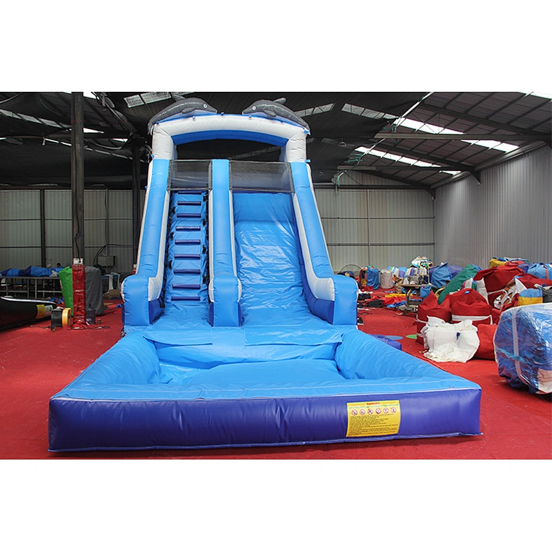 Dolphins Inflatable Water Slide
