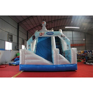 Frozen Inflatable Slide