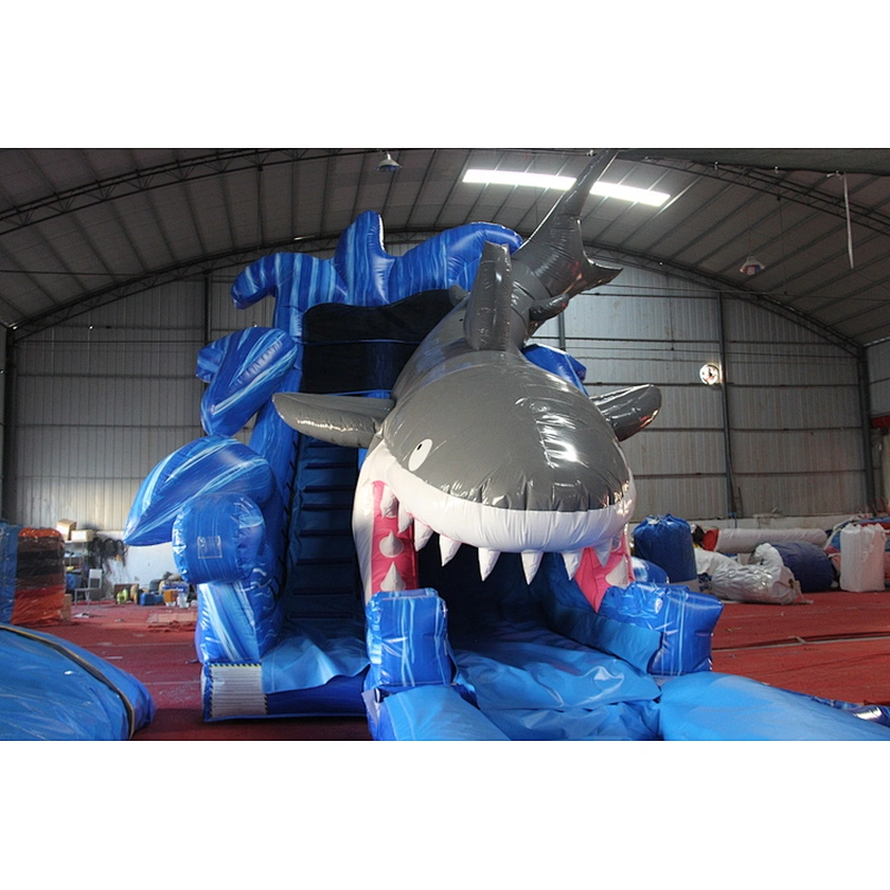 Shark water slide with inflatable pool