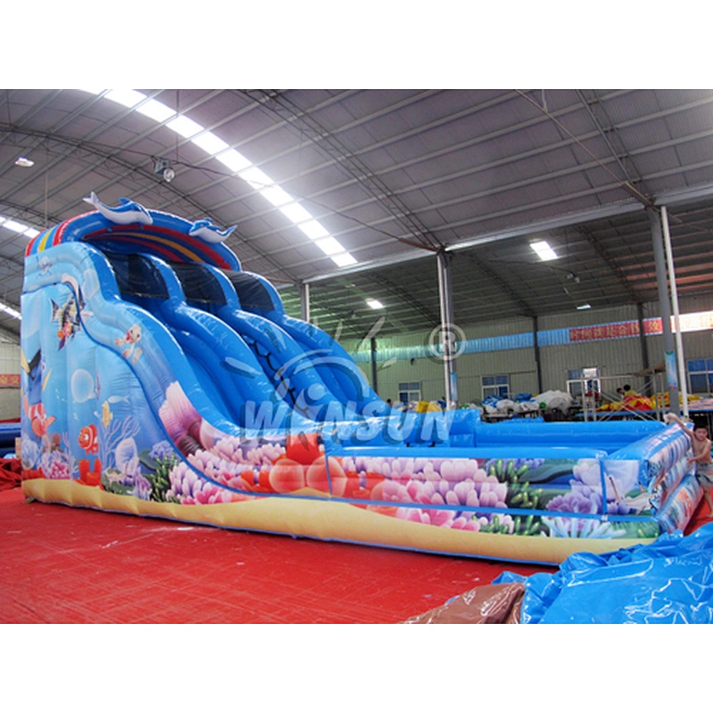 Ocean inflatable water slide