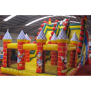 Giant Inflatable Slide with Bouncer