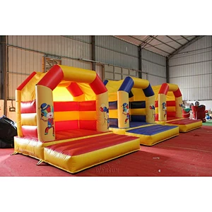 Inflatable joker bouncer