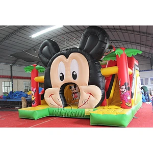 Small Inflatable Mouse Slide