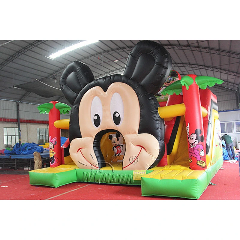 Small Inflatable Mouse Slide