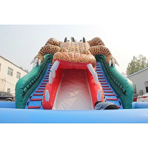 Crocodile Water Slide with Airtight pool
