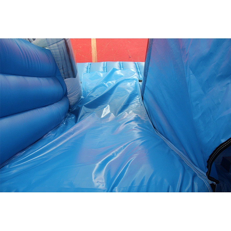 Frozen Inflatable jumping castle