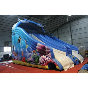 Dolphin themed Water Slide