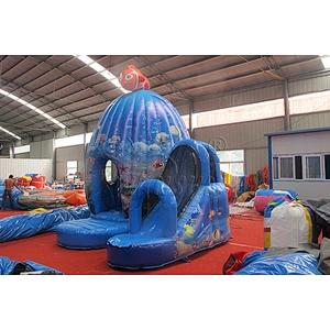 Inflatable Bounce Castle & Slide