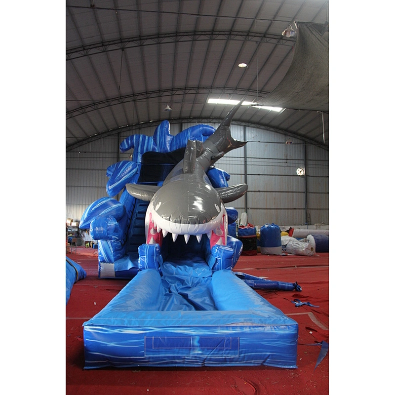 Shark water slide with inflatable pool