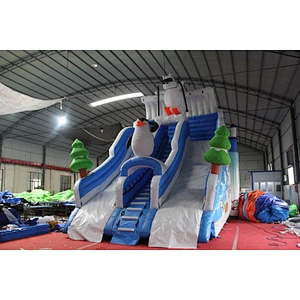 Ice world inflatable water slide