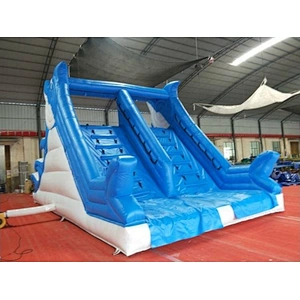 Inflatable Dolphin Water Slide
