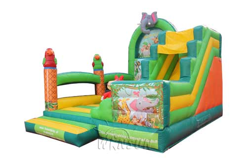 Animal World inflatable combo